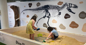 kids playing in dinosaur exhibit